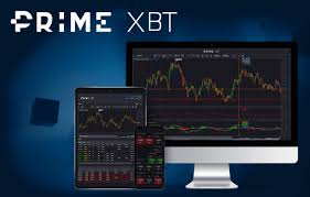 Discover the PrimeXBT Hub Your Gateway to Advanced Trading